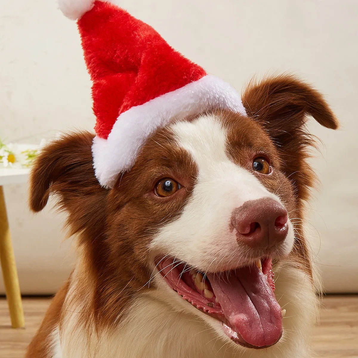 Christmas Pet Hat Santa Claus Costume Hat for Dogs Cats Christmas Decoration 2025