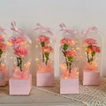 Hot Selling New Creative PVC Transparent Single Rose Package Box Lighthouse Handed Flower Package Box