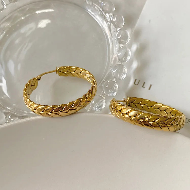 Women's Custom Stainless Steel Hoop Earrings Gold Plated Geometric Fashion Hip Hop Jewelry for Weddings and Parties Wholesale