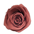 6 PCS Box 2025 New Fresh Preserved Rose Flower a Grade 50 Colors Immortal Infinity Eternal Forever Stabilized Preserved Roses