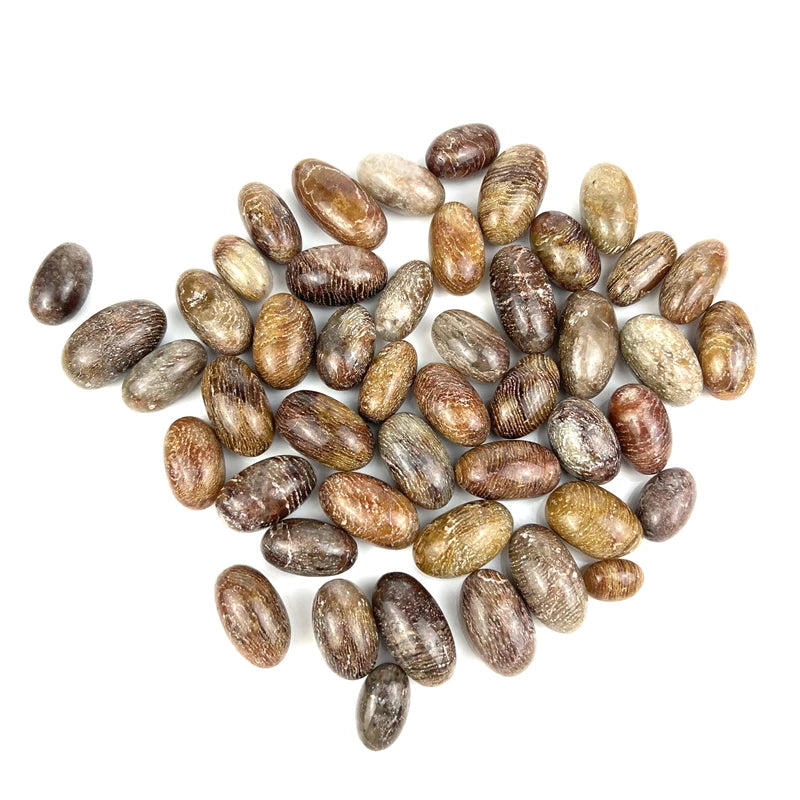 Natural Healing Crystals Meditation Melaleuca Garden Quartz Tumbled Stone for Decoration