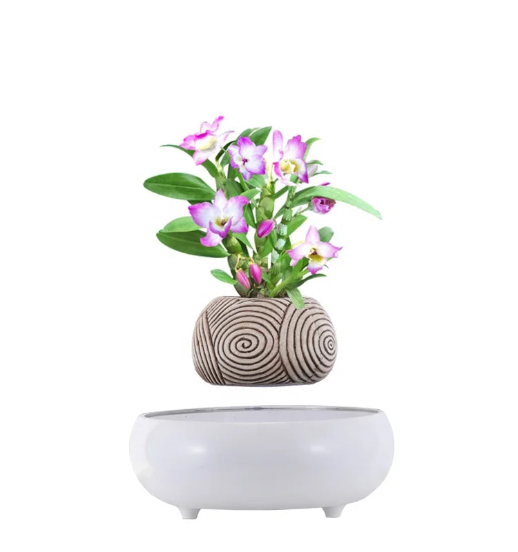 Ornamental Indoor Table Office Desk Decorative Shallow Herb Floating Bonsai Pot Home Goods Flower Pots for Plants