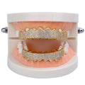 Wholesale Hip Hop Iced Out Teeth Grillz Brass 18K Gold Platinum Plated Grillz Fangs Rapper Body Jewelry Gift