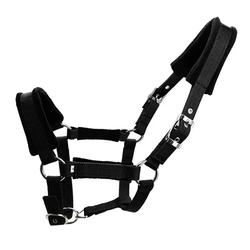Hot Sale Durable Woven Polypropylene Material Livestock Horse Halters Multiple Colors Black Blue Red