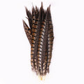 100-110cm Cheap Long Nature Pheasant Feathers Ringneck Pheasant Tail Feathers