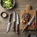 HEZHEN 4 Pcs Steak Knife Set High Quality Damascus Steel Micarta Handle Kitchen Knives Custom Cutlery New