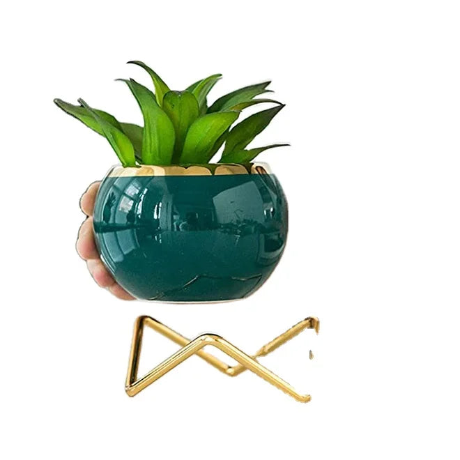Dropshipping Simple Creative Succulent Planter With Metal Frame Ceramic Plant Pots for Indoor/Outdoor