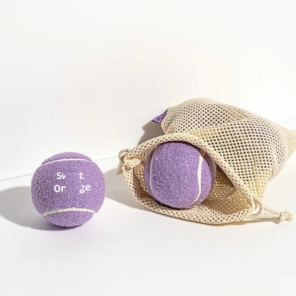 Kingtale Pet Supplies Custom Pet Toy Ball Color Packaging Logo Bounce Rubber Pet Tennis Toy Ball