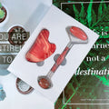 HZ Premium Quality Big Stock Red jasper Roller Gua Sha Set for Face Ready to Ship Kit