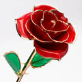 L838 Red Golden Foil Rose 24k Dipped Gold Natural Real Preserved Flower Valentine' s Day Gift Gold Plated Rose for Wedding Decor
