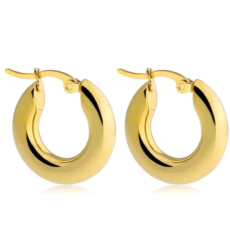 Lightweight Hypoallergenic Earring Stainless Steel Twisted Huggie Earring 14k Gold Hoop Earrings for Women