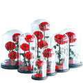 Every Love 6-7 Cm Rose Bud High Quality Handmade Three Preserved Roses in Glass Dome for Gift Wedding Home Decoration