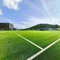 Professional Artificial Turf for Multi-Purpose Sports Field