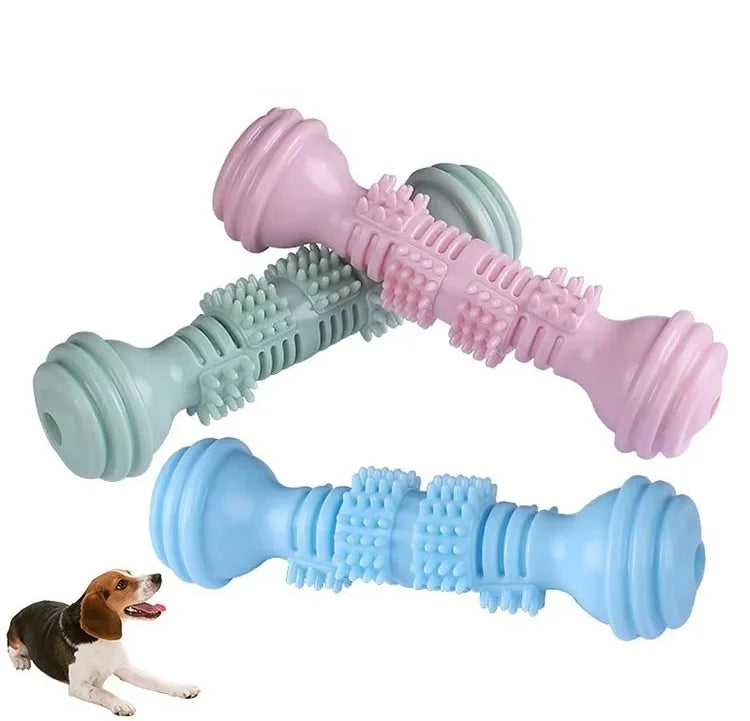 Wholesale Luxury Interactive Toothbrush Dog Chew Toy TPR Dumbbell Bite Toy with Bag Packed Pet Training Tool