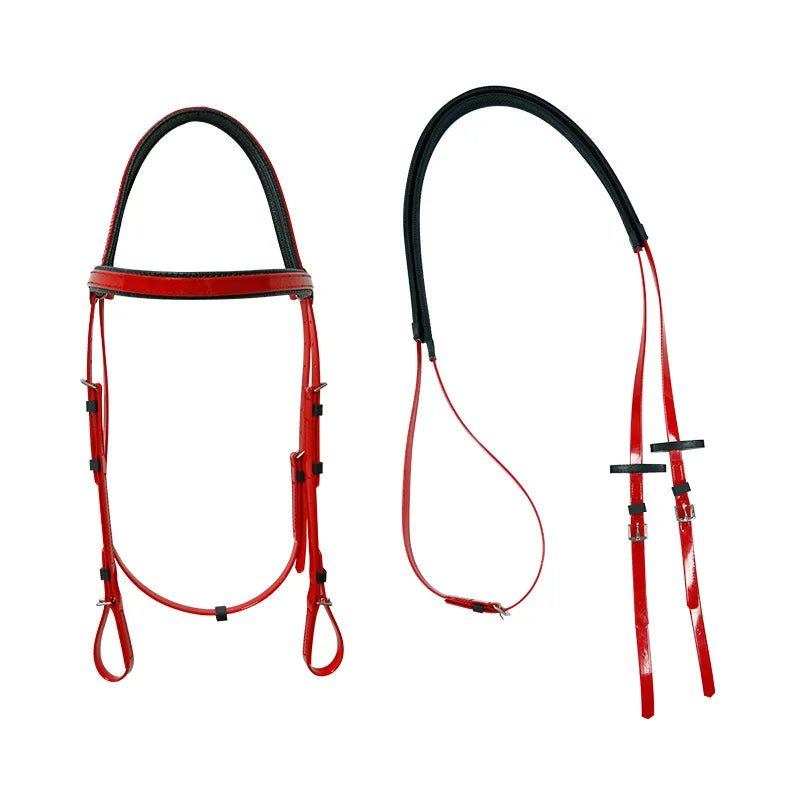 Durable Nylon and PVC English Style Western Saddle with Rein Equestrian Horse Racing Bridle Accessory From Accessory Direct