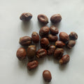 Li Zhi He Dried Ripe Natural Lychee Seeds for Sale