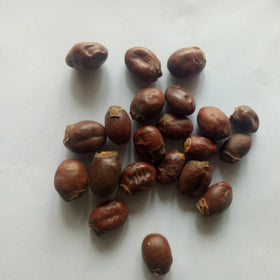 Li Zhi He Dried Ripe Natural Lychee Seeds for Sale