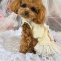 2025 New Pet Cute Princess Dress Cat and Dog Clothes
