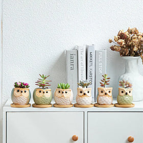 Small Home Decoration Items Cartoon Pots Owl Coarse Earthenware Glazed Plant Succulent Flowerpots
