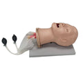 Medical Training Model Human Airway Manikin Fully Functional Airway Management Model