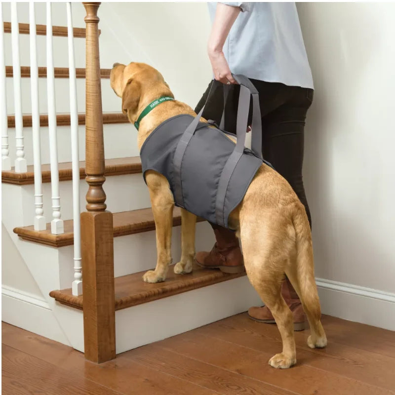 Paw Dog Lift Harness Dog Sling for Hind Leg Support Hip and ACL Brace for Eldery Dogs