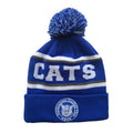 100% Acrylic Custom Logo Winter Toque Knitted Hats Pom Beanie