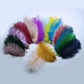 L903 Factory Price Direct Buy Beautiful Multicolored Ostrich Feathers for Clothing Accessories