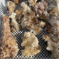 Wholesale Natural White Crystal Chrysanthemum Raw Material Stone Rough Mineral Specimens Healing Crystal Stone Model