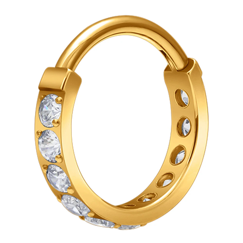G23 Titanium 16G Nose Ring Luxury Fashion Earrings Segment Clicker Hinged Hoop Rings Zircon Inlay Women Body Piercing Jewelry