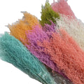 Wholesale  Dried Flower Bouquet Natural Plant Preserved Mugwort Flower 60-70cm Home Wedding Day Mother's Day DIY Material