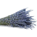 Wholesale Dried Flowers and Plants Natural Dried Lavender Flower for Home Decor