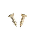 TS-K296 Golden Flat Head Screw 8mm 10mm 12mm