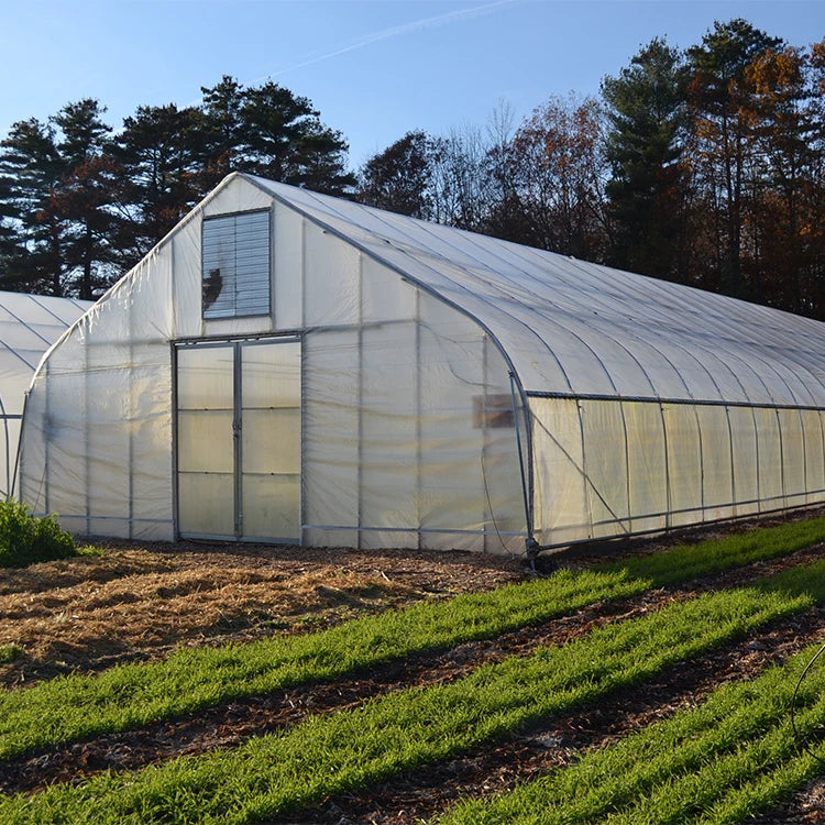 Skyplant Large Single Tunnel Film Greenhouse Stable Hydroponic for Strawberry Plant Garden Leno Fabric Agricultural Greenhouse