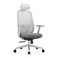 Factory Direct Sales High Back Ergonomic Mesh Office Chair Height Adjustable Revolve Office Chair Modern Design Foshan Furniture