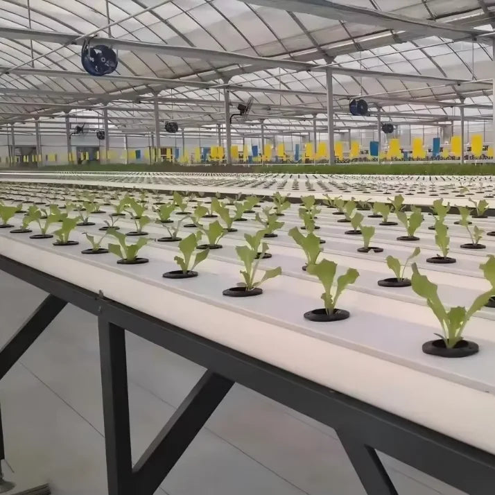Commercial White Hydroponic Channel 100*100mm NFT System Ideal for Vertical Farming & Large-Scale Hydroponic Systems