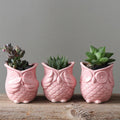 2022 HOT SELLING Creative Owl Shaped Vase Ceramic Flower Pot Succulent Plants Fun Animal Plant Pot Home Tabletop Decoration