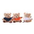 Plushie Peluches Plush Toys Sweater Clothing Teddy Bear Keychain Cute 12cm Mini Heart Teddy Bear Wholesalers Stuffed Animal Toys