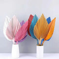 Wedding Decor Natural Flower Plant Preserved Large Tropical Dry Palm Spears Fan Leaf Bleach White Small Dried Palm Leaves Easter