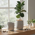 Nordic Simple Style Cement Flower Pots Eco-Friendly Drainage Hole Garden Home Use Modern Design Direct Kit