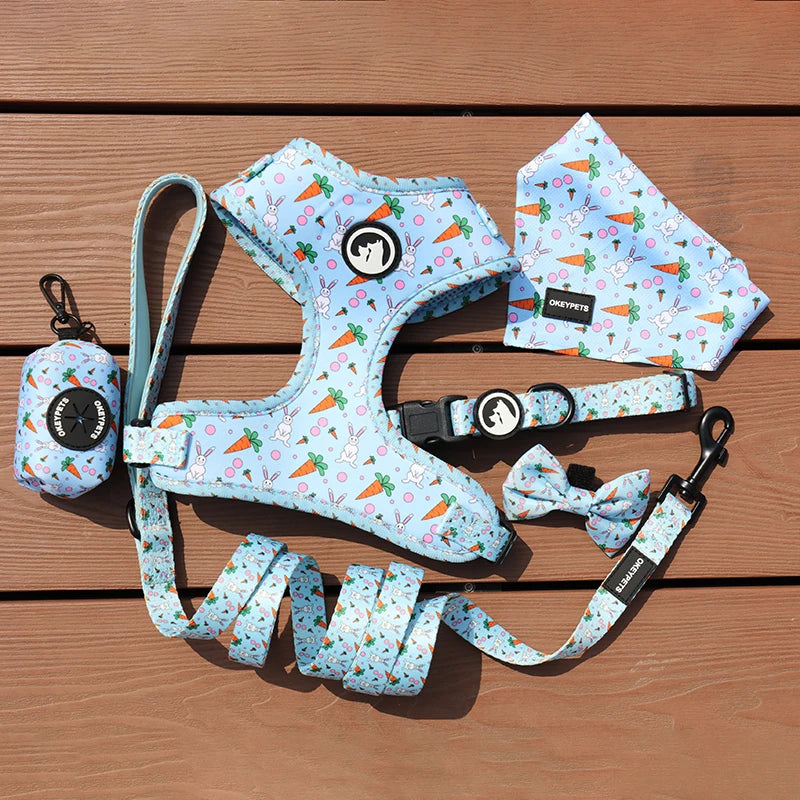 Custom Personalized Neoprene Padded Mesh Designer Pet Bandana Collar Set Cute No Pull Adjustable Designer Dog Harness Vest Leash