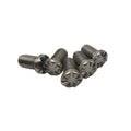 Factory Customized Flat Head With Flower groove Special Head Iron Carbon Steel Black Nickel Plated Bolt Anti-theft Safety Screws
