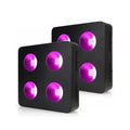 2025 Liweida 1000 Watt Full Spectrum LED Grow Light Black COB Panel 120 Beam Angle 60 Lm/W Efficiency for VEG BLOOM Aluminum