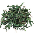 China Supply Sacha Inchi Leaf Green New Dried Sacha Inchi Leaves for Healthy Tea