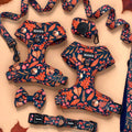 2023 Custom Neoprene Dog Harness Set With Brand Logo Padded Reflective Reversible Animal Pattern for Small Animals for Walking