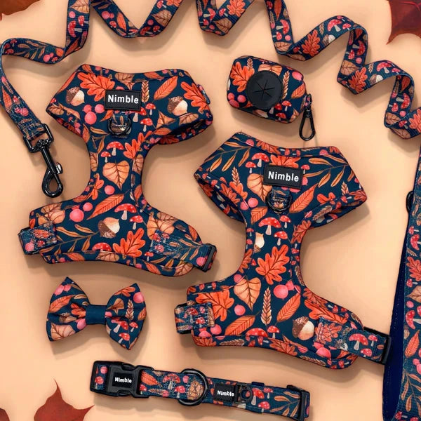 2023 Custom Neoprene Dog Harness Set With Brand Logo Padded Reflective Reversible Animal Pattern for Small Animals for Walking