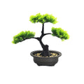 Welcome Pine Bonsai Simulation Bonsai Tree Artificial Bonsai Tree for Home Office Indoor