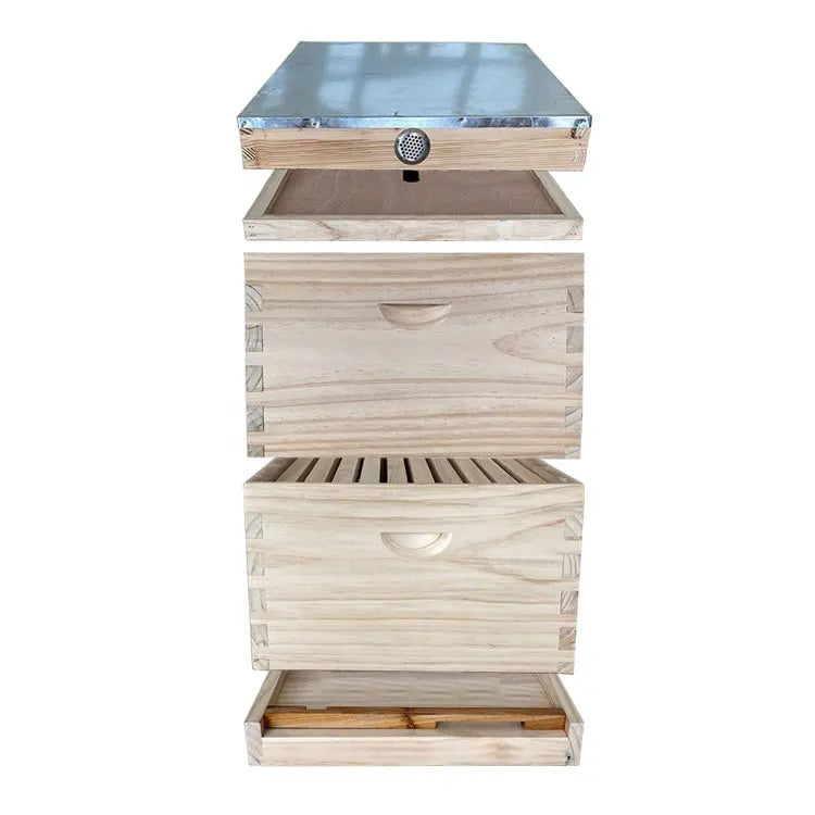 2024 Hot Australian-style 10-frame Hives for Breeding Bees