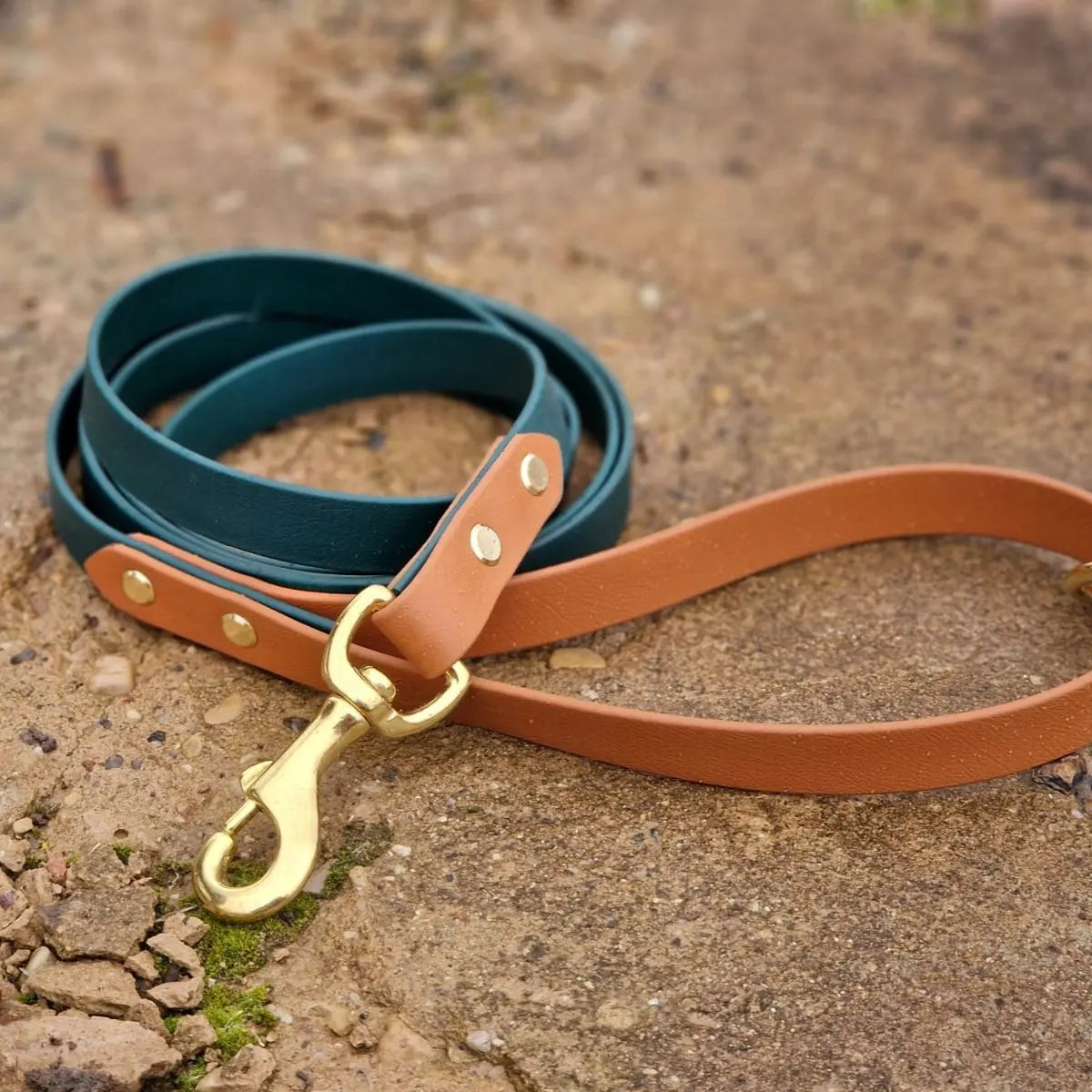 Luxury Adjustable Soft PVC Polyester Dog Leash Personalized Name Tag Waterproof Rubber Hands-Free Buckle Walks Jogs-Available