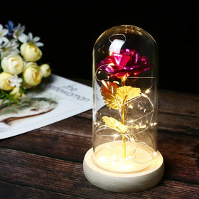 Rose in a Glass Dome with LED Lights Decorative Table Lamp Preserved Flower Gifts for Mother's Day Valentine's Day Christmas