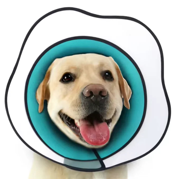 USMILEPET Dog Cone Elizabeth Protective Collar Large Dogs Cats Small Animals Multi-color Solid Plastic Lights Adjustable Fur
